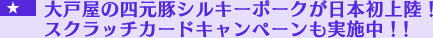 $BBg8M20$N;M85FZ%7%k%-!<%]!<%/$,F|K\=i>eN&!*%9%/%i%C%A%+!<%I%-%c%s%Z!<%s$b<B;\Cf!*!*(B