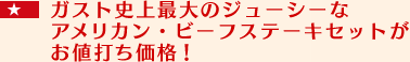 $B%,%9%H;K>e:GBg$N%8%e!<%7!<$J%