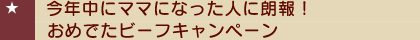 $B:#G/Cf$K%^%^$K$J$C$??M$KO/Js!*$*$a$G$?%S!<%U%-%c%s%Z!<%s(B
