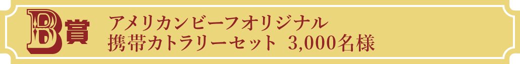 B賞 アメリカンビーフオリジナル 携帯カラトリーセット 3,000名様