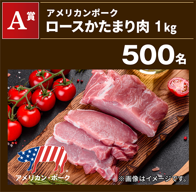 A賞 アメリカンポーク ロースかたまり肉 1kg 500名