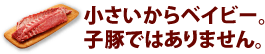 小さいからベイビー。子豚ではありません。