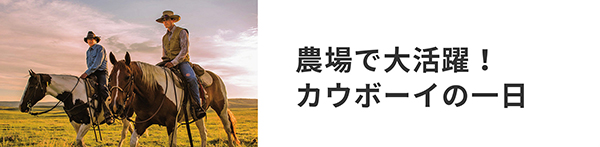 「農場で大活躍！カウボーイの1日」