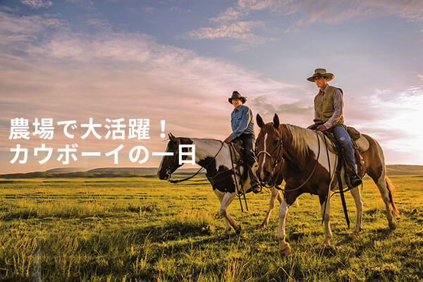 農場で大活躍 カウボーイの1日 Beef 生産の流れ 安全へのこだわり アメリカンビーフ アメリカポーク公式サイト 米国食肉輸出連合会 農場で大活躍 カウボーイの1日 Beef 生産の流れ 安全へのこだわり アメリカンビーフ アメリカポーク公式サイト 米国食肉輸出連合会