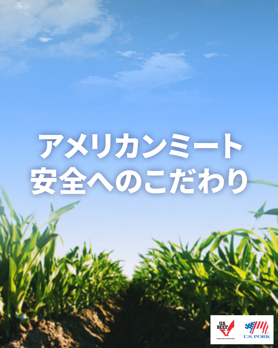 安全へのこだわり