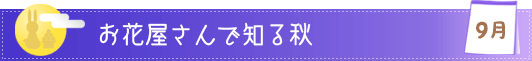 お花屋さんで知る秋