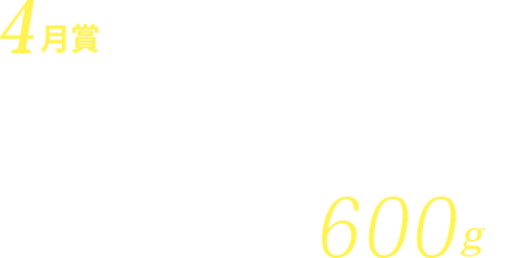 4月賞 期間合計100名様