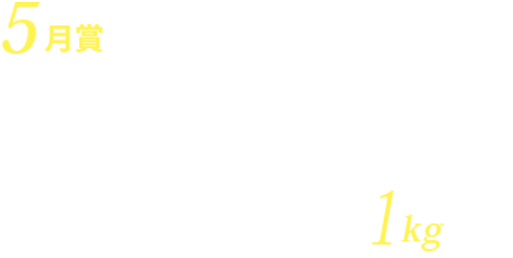 5月賞 期間合計120名様