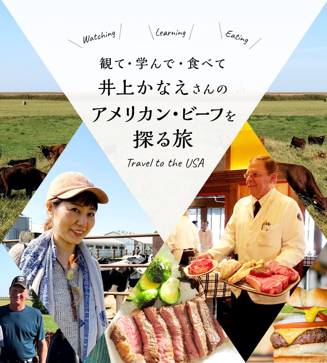 観て・学んで・食べて 井上かなえさんのアメリカン・ビーフを探る旅 Watching Learning Eating Travel to the USA