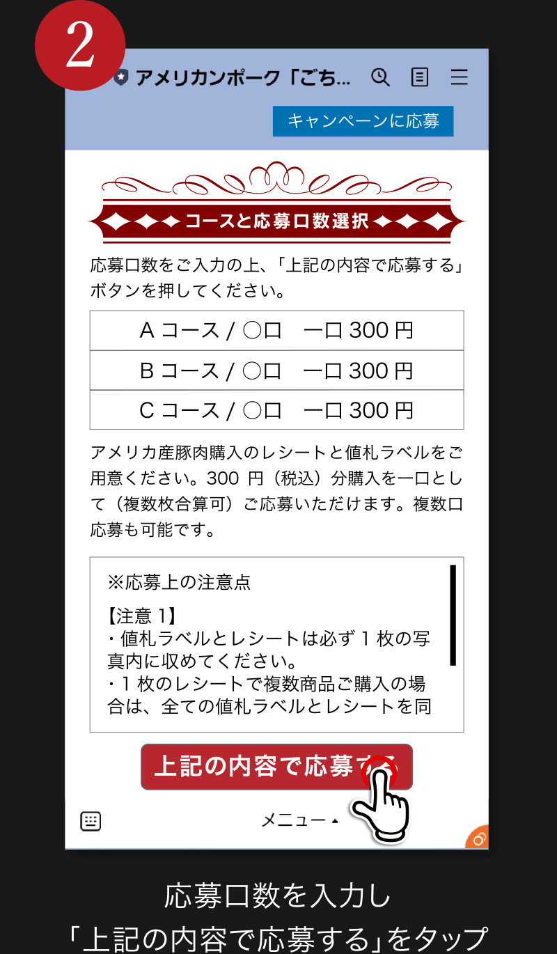 2. 応募口数を入力し「上記の内容で応募する」をタップ