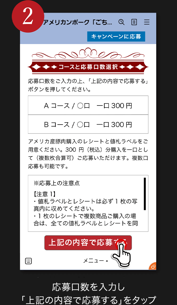 2. 応募口数を入力し「上記の内容で応募する」をタップ