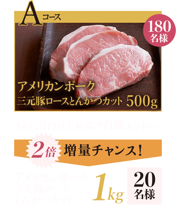 Aコース：アメリカンポーク 三元豚ロースとんかつカット 500g 180名様 さらに5口以上応募で自動エントリー 2倍増量チャンス！ アメリカンポーク 三元豚ロースとんかつカット 1kg 20名様