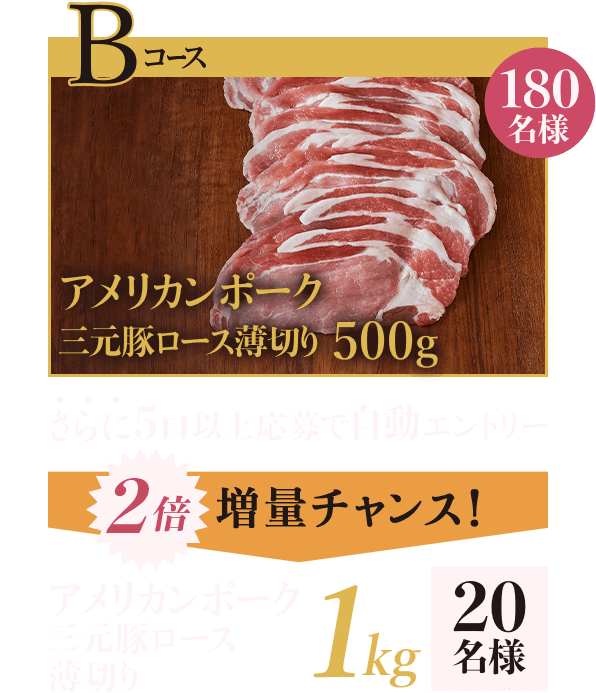Bコース：アメリカンポーク 三元豚ロース薄切り 500g 180名様 さらに5口以上応募で自動エントリー 2倍増量チャンス！ アメリカンポーク 三元豚ロース薄切り 1kg 20名様