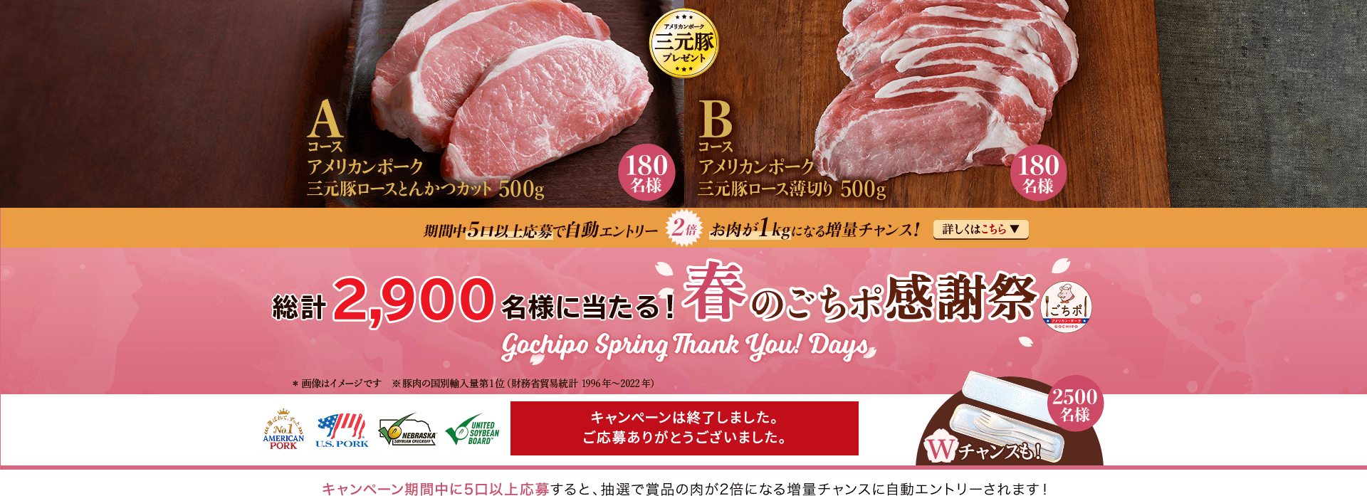 2,900名様に当たる！春のごちポ感謝祭キャンペーン 応募期間：2023年3月1日（水）～5月31日（水）