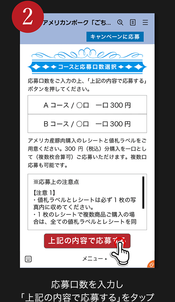 2. 応募口数を入力し「上記の内容で応募する」をタップ