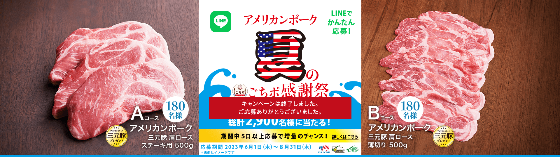 2,900名様に当たる！夏のごちポ感謝祭キャンペーン 応募期間：2023年6月1日（木）～8月31日（木）