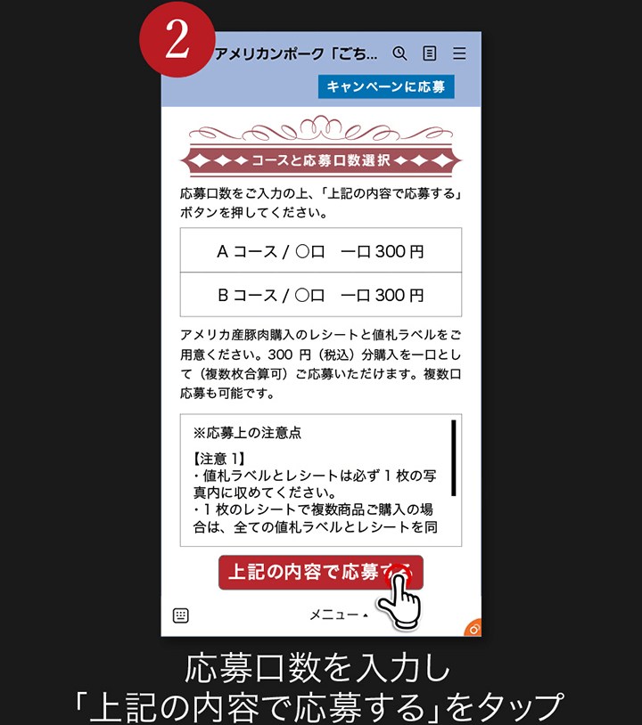 2. 応募口数を入力し「上記の内容で応募する」をタップ