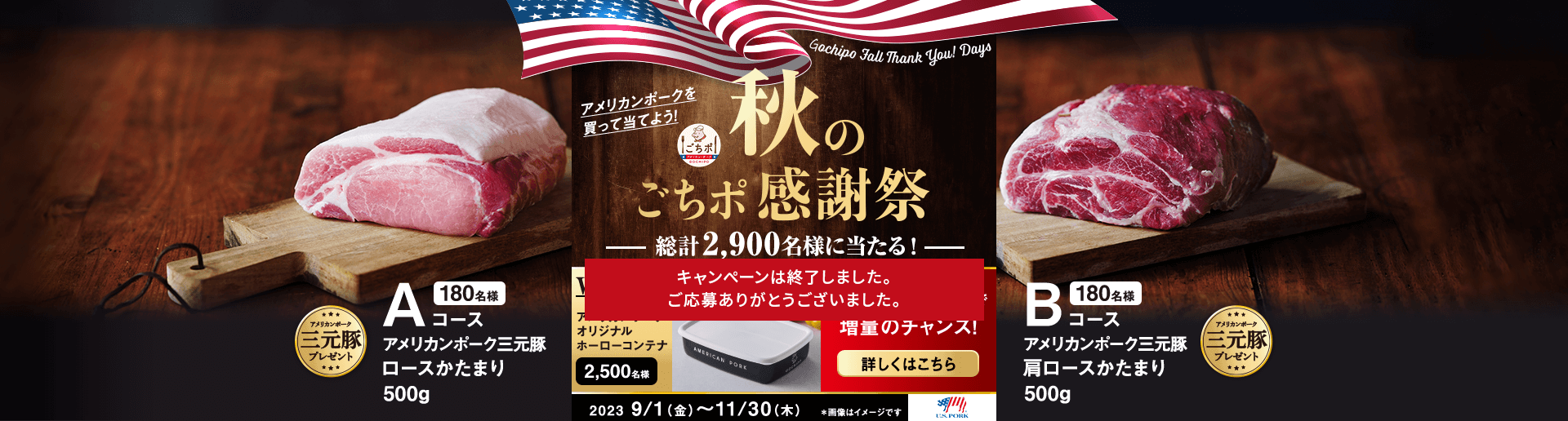 2,900名様に当たる！秋のごちポ感謝祭キャンペーン 応募期間：2023年9月1日（金）～11月30日（木）