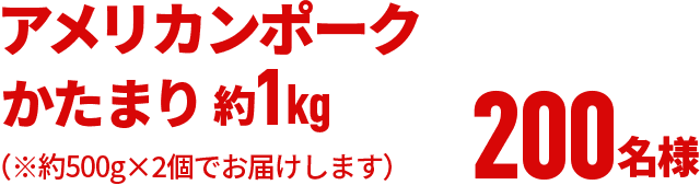 アメリカンポークかたまり 約1kg（※約500g×2個でお届けします）200名様