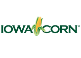 IOWA CORN