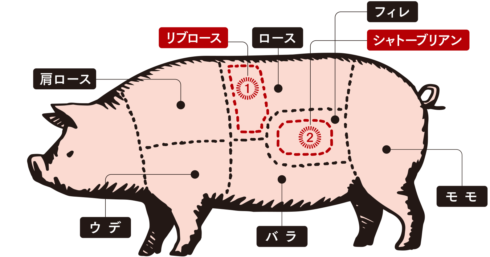 部位説明図