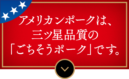 アメリカンポークは、三ツ星品質のごちそうポークです。