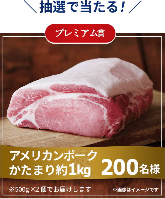 抽選で当たる！ プレミアム賞 アメリカンポークかたまり約1kg 200名様 ※500g×2個でお届けします ※画像はイメージです