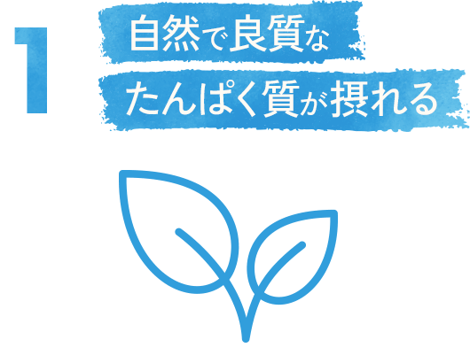 1. 自然で良質なたんぱく質が摂れる