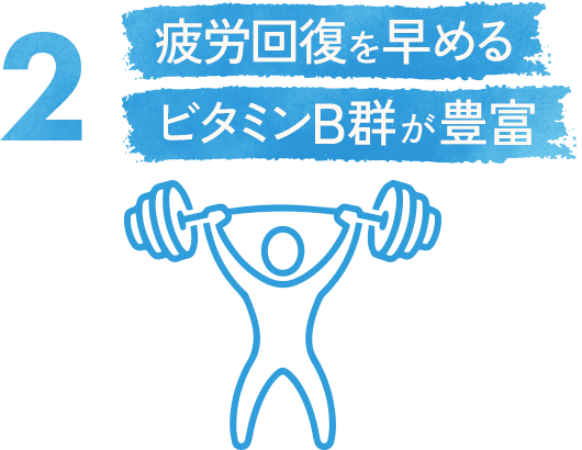 2. 疲労回復を早めるビタミンB群が豊富