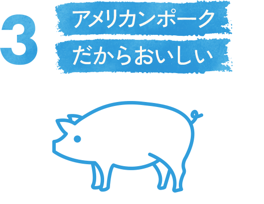 3. アメリカンポークだからおいしい