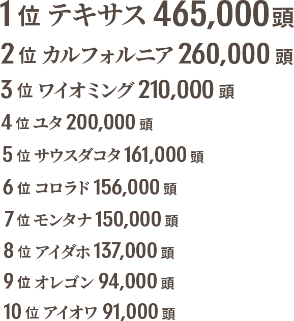 1位 テキサス465000頭, 2位 カルフォルニア260000頭, 3位 ワイオミング210000頭, 4位 ユタ200000頭, 5位 サウスダコタ161000頭, 6位 コロラド156000頭, 7位 モンタナ150000頭, 8位 アイダホ137000頭, 9位 オレゴン94000頭, 10位 アイオワ91000頭