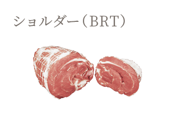 ショルダー（BRT）