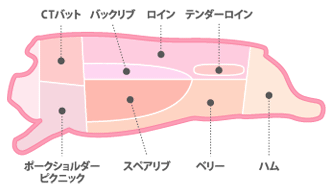 アメリカン ポークの部位 ディスクリプション 格付け 部位 データベース 米国食肉輸出連合会