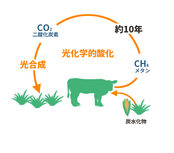 サスティナビリティ 持続可能性 リポート データベース 米国食肉輸出連合会