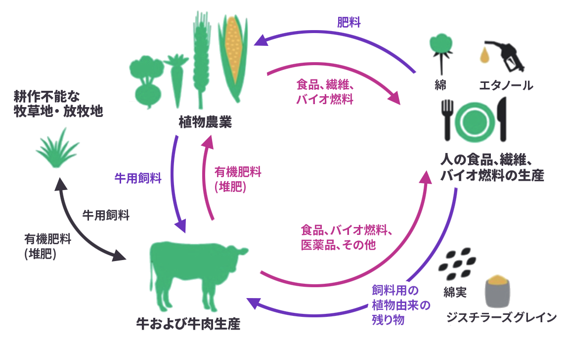 サスティナビリティ 持続可能性 リポート データベース 米国食肉輸出連合会