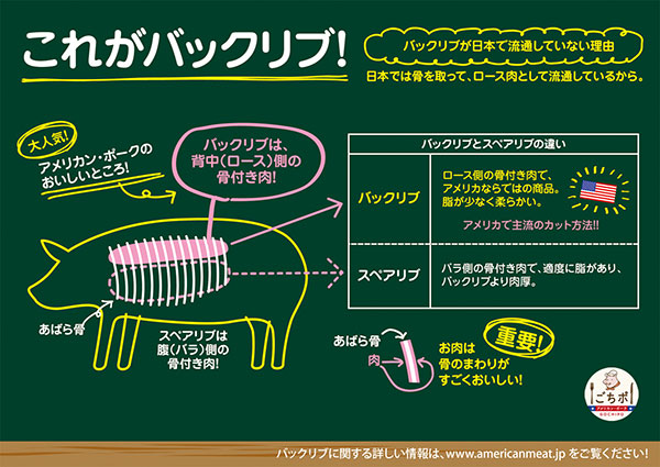 バックリブ B5パネル